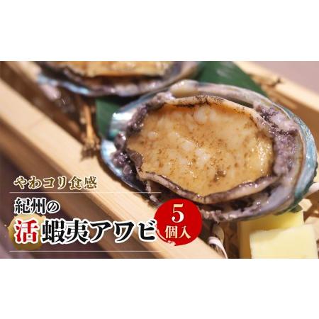 ふるさと納税 やわコリ食感紀州の蝦夷アワビ  和歌山県九度山町