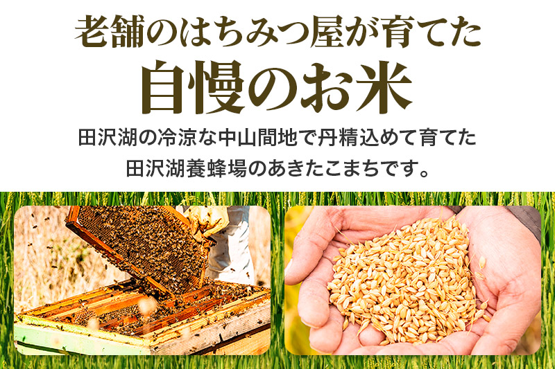 秋田県産 あきたこまち 30kg 新米 令和5年産 30キロ お米 仙北市|02_tyj-323001