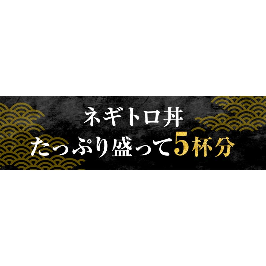 まぐろ ねぎとろ 500g (100gx5）マグロのたたき ネギトロ