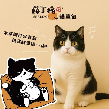 💫毛怪部落💫薛丁格 貓草包 貓薄荷玩具 貓草 木天寥 貓咪玩具 貓玩具 貓薄荷 貓草玩具 貓抱枕 逗貓玩具