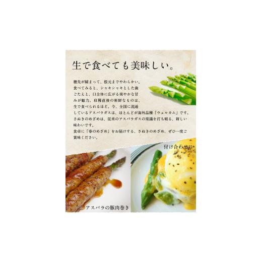 ふるさと納税 香川県 高松市 訳あり  ご家庭用 さぬきのめざめ セミロング 30cm 細物・サイズ混合 約1.2kg