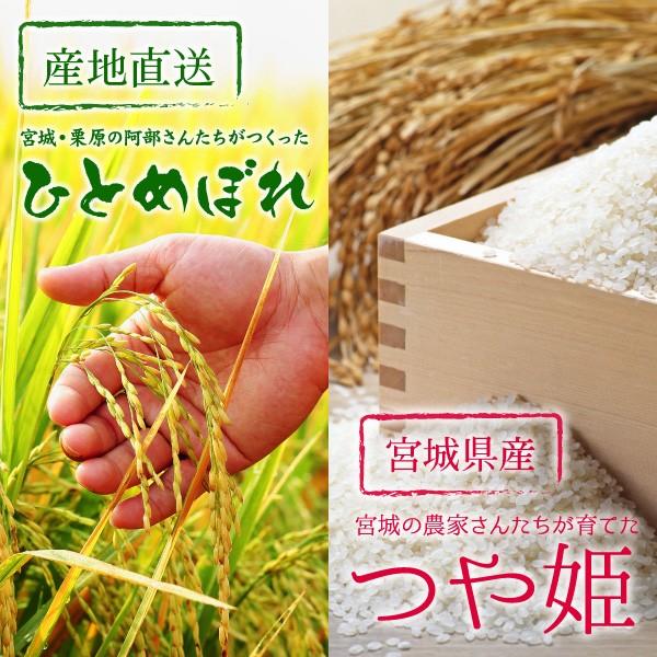 新米 米 2品目食べ比べ 米 5kg×2袋 お米 10kg 令和5年産 宮城県産 白米 送料無料 精白米 ひとめぼれ つや姫 各5kg×1袋