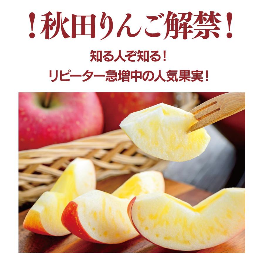 秋田 蜜入りサンふじりんご 送料無料 4.5kg 大小混合（12玉-20玉前後）＜12月上旬より順次出荷＞ 大嶌屋（おおしまや）