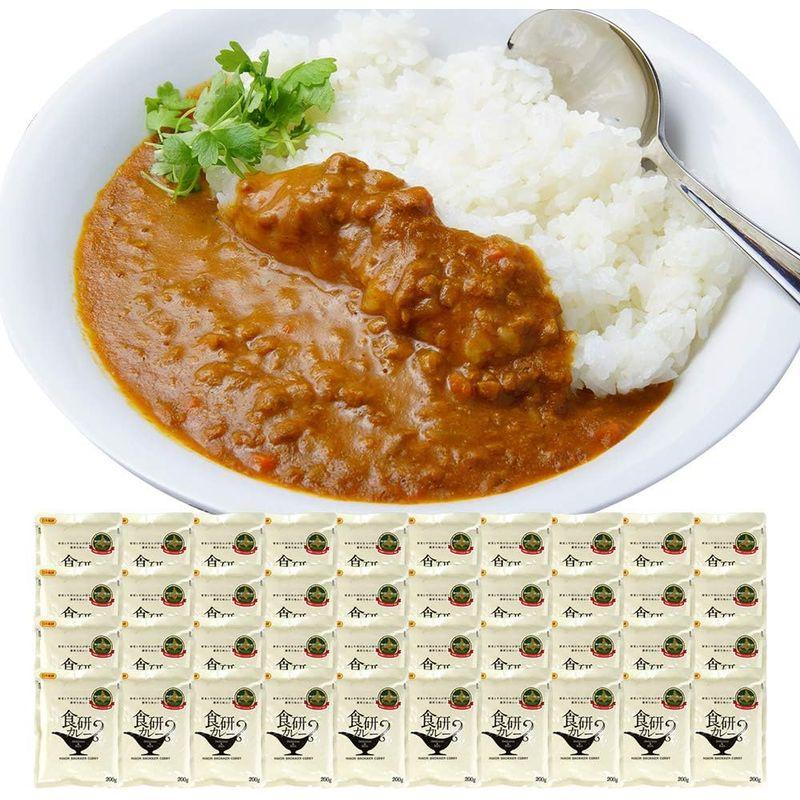 カレー レトルトカレー 中辛 ビーフカレー 食研カレー 200g 40食セット 北国からの贈り物