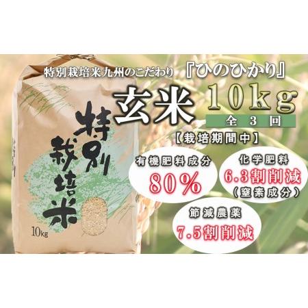 ふるさと納税 「定期便」特別栽培米・九州のこだわり米ひのひかり 玄米10kg（全3回） 長崎県諫早市