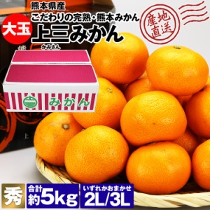 みかん 5kg 熊本県産 大玉 秀 上三みかん 熊本みかん 25～32玉 2L 3Lサイズ 蜜柑 ミカン 産直 常温便 同梱不可 指定日不可