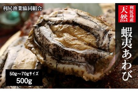 天然蝦夷あわび 500g＜小＞（50g～70gサイズ）＜利尻漁業協同組合＞