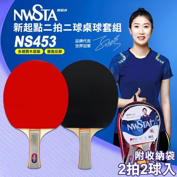 【NWSTA】新起點二拍二球桌球套組(NS453)