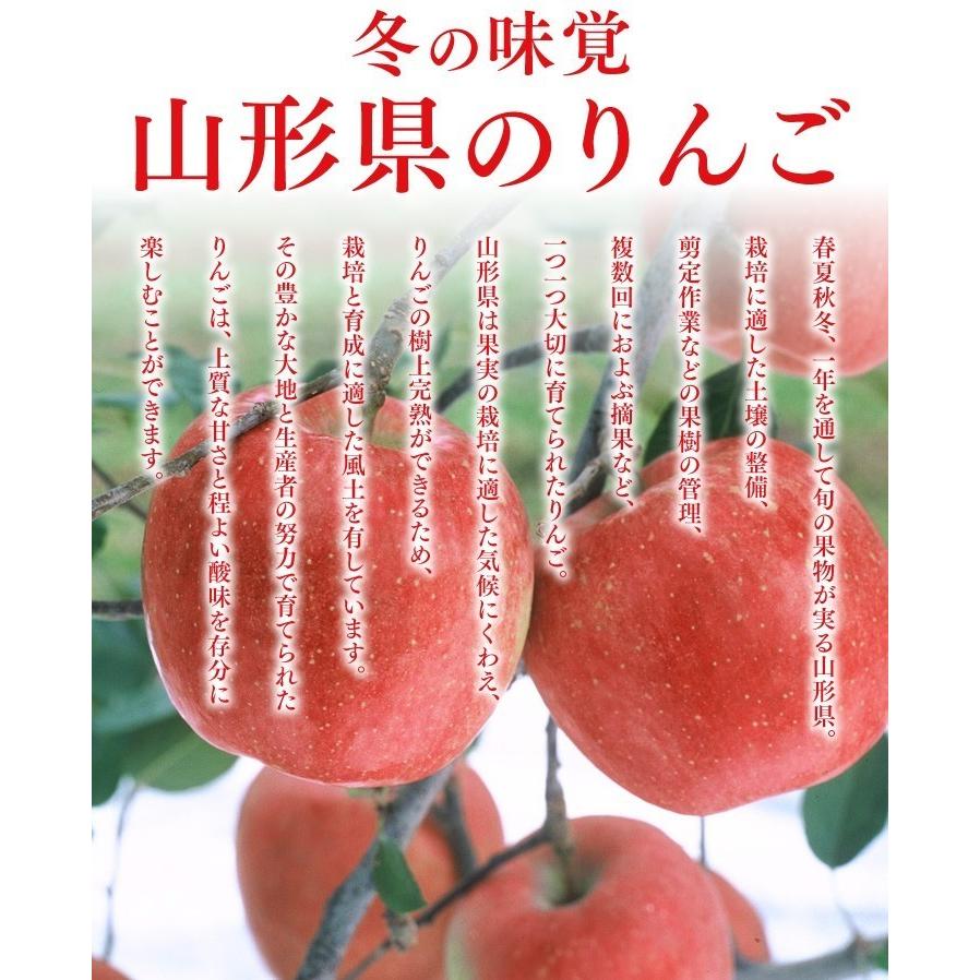 お歳暮 秀品 りんご シナノゴールド リンゴ 約3kg 山形県産 林檎 山形 送料無料(一部地域別途送料)