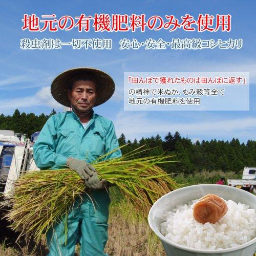 田村清一さんの低農薬 有機肥料 こだわりの 新潟産コシヒカリ 玄米[5キロ]