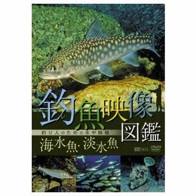 釣魚映像図鑑 海水魚 淡水魚 釣り人のための水中映像 Dvd 通販 Lineポイント最大0 5 Get Lineショッピング