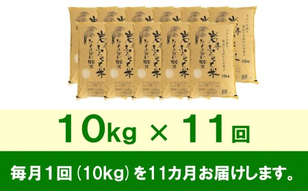 3人に1人がリピーター!☆全11回定期便☆ 岩手ふるさと米 10kg×11ヶ月 令和5年産 新米 一等米ひとめぼれ 東北有数のお米の産地 岩手県奥州市産[U0158]