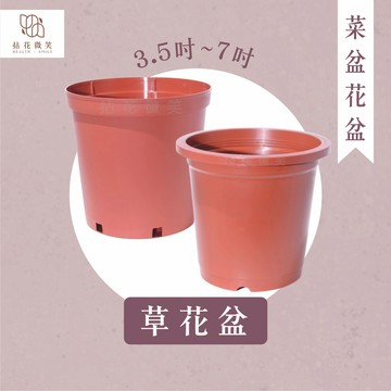 【拈花微笑】草花盆｜3.5吋-6吋｜育苗｜種植｜荷蘭盆｜成本低｜耐用度高｜小品盆栽