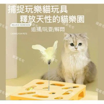 【寵愛毛宅】益智貓咪迷宮玩具 貓咪逗貓玩具 貓咪自嗨解悶玩具 羽毛鈴鐺逗貓玩具