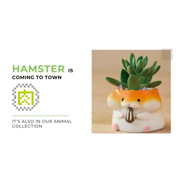 【拼肉肉】肉肉動物園-日本哈姆太郎倉鼠多肉植物盲盒X3 每色各1（植物隨機出貨，三吋盆穩根）