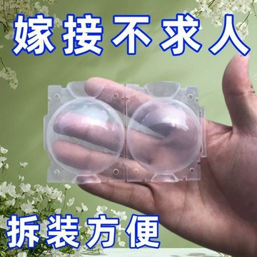 🔥臺灣出货🔥植物高壓繁殖盒扦插嫁接神器新款生根球自動扣工具紙條生根盒堆肥4TC8