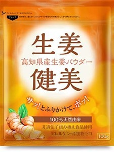 高知県産 生生姜100%使用 生姜パウダー 非遺伝子組み換え アレルゲンゼロ 添加物ゼロ 生姜健美 100G