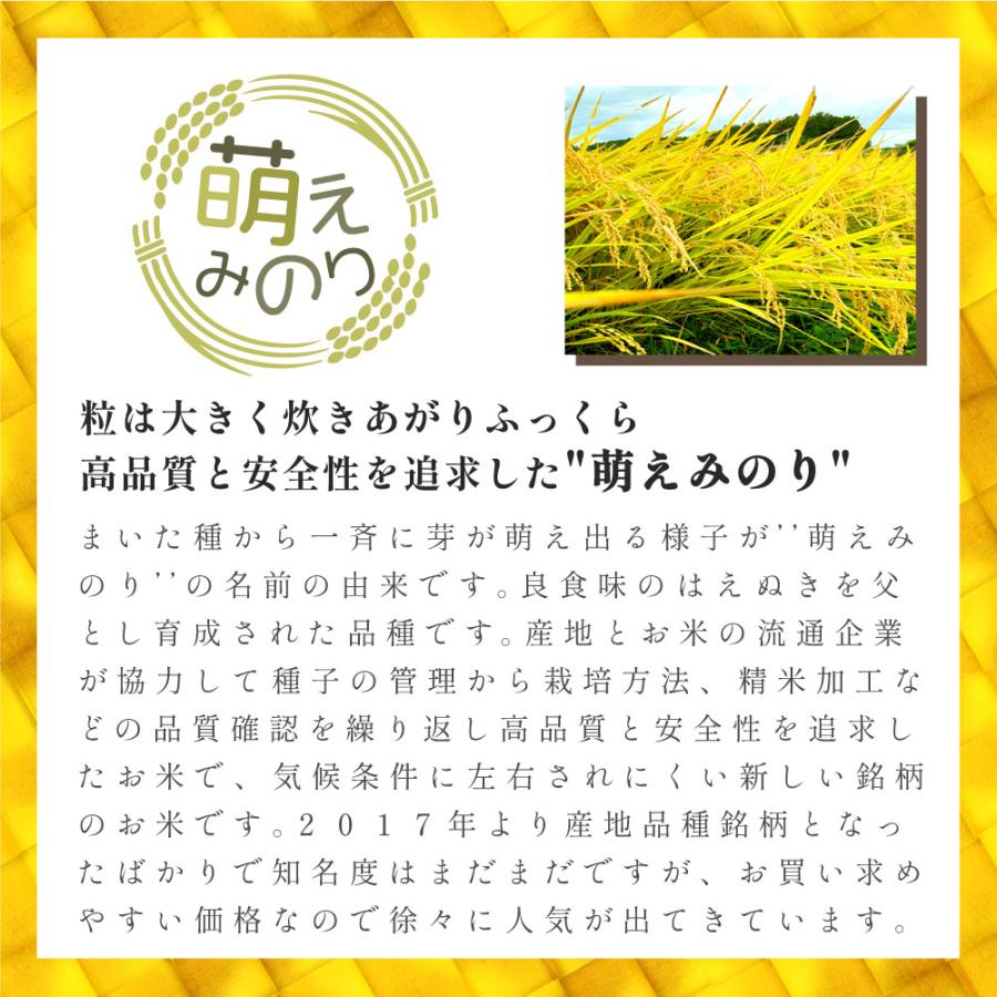 令和5年度 新米 お米 10kg 萌えみのり 米 5kg 2袋セット 宮城 国産 白米 日本産