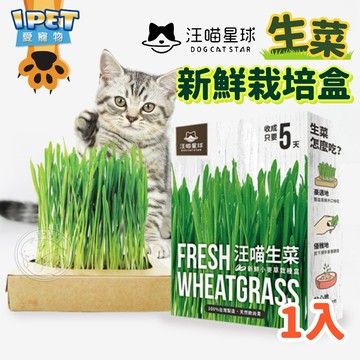 【愛寵物】汪喵星球 生菜新鮮栽培盒 貓點心 貓草培養 小麥草 貓咪 腸胃蠕動 貓生菜 貓零食 貓草 貓草種植