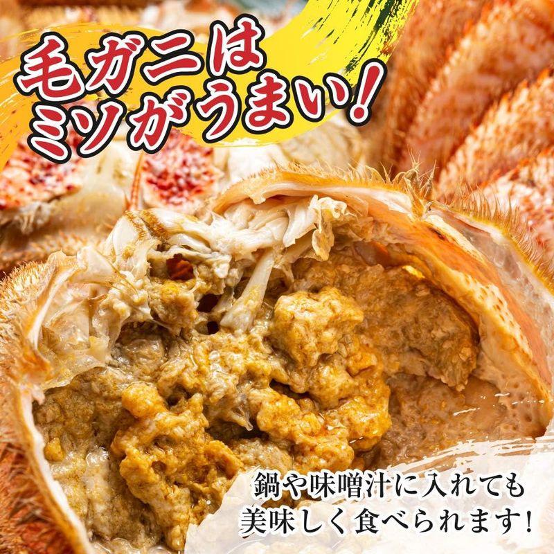 北海道産 毛ガニ 姿 約800g (約400g×2杯) 堅蟹 カニみそ ボイル 冷凍