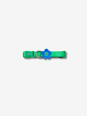 Flower logo collar l blue green