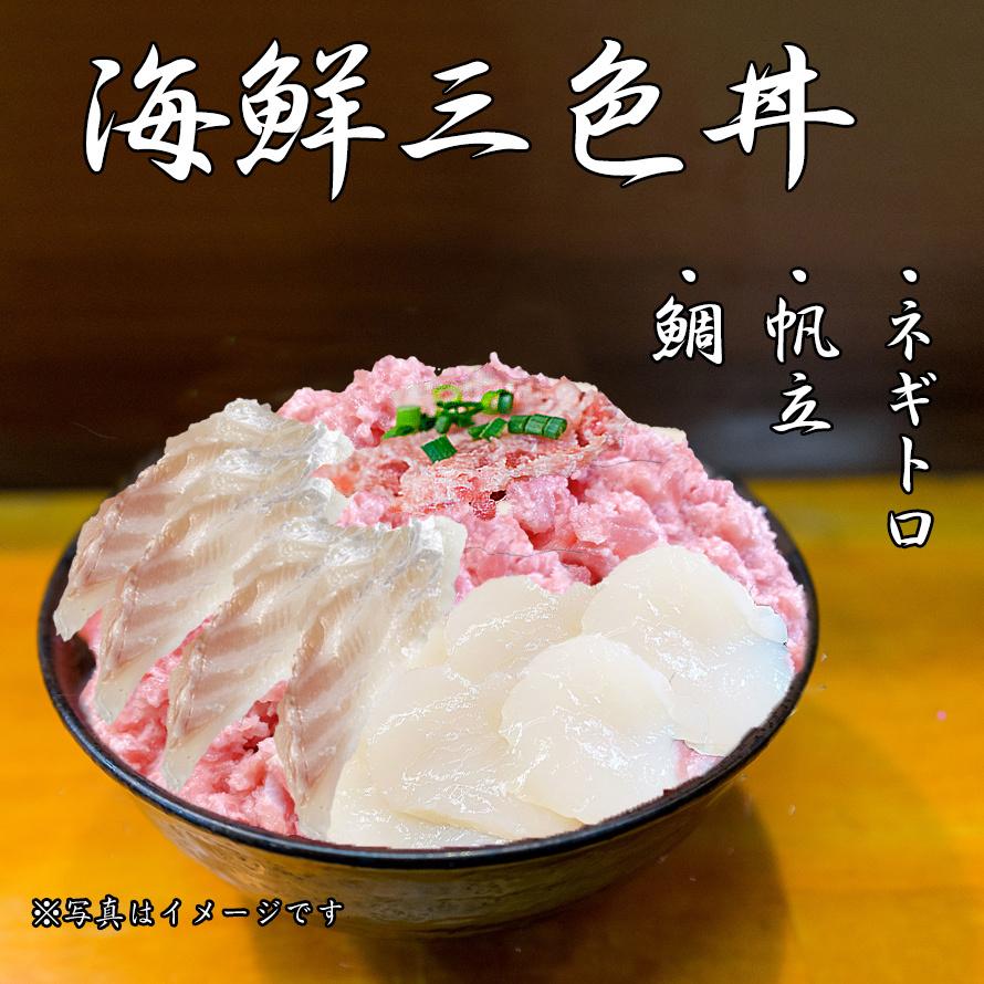 海鮮三色丼  ネギトロ ホタテ 鯛 3〜4人前 海鮮 丼 セット   2023 プレゼント ギフト 刺身 グルメ お祝い