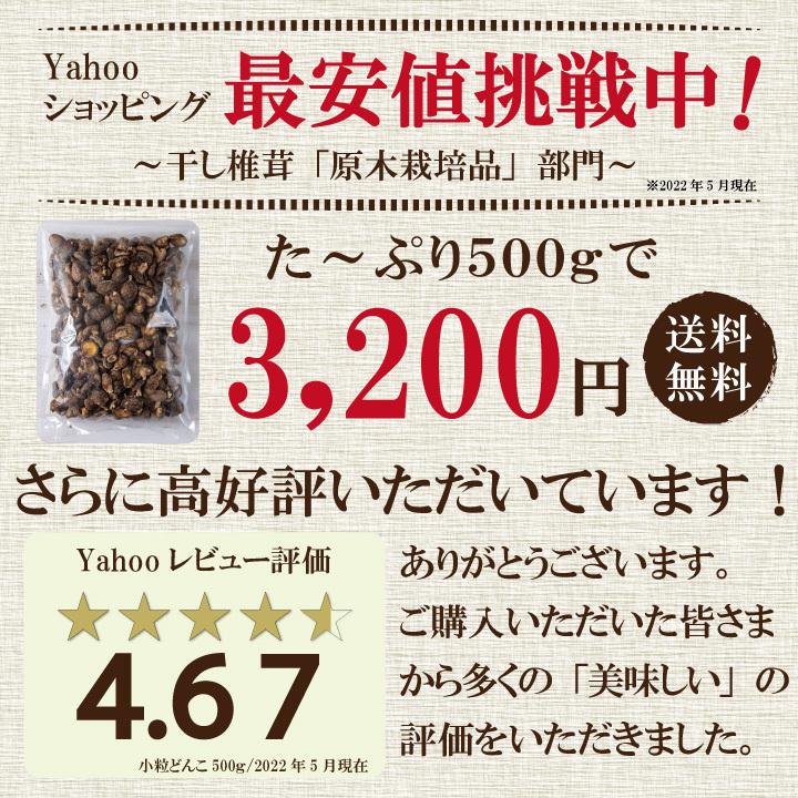 国内産訳あり小粒椎茸500ｇ　干し椎茸 国産 訳あり どんこ ワレ・カケあり 送料無料 最安値挑戦中