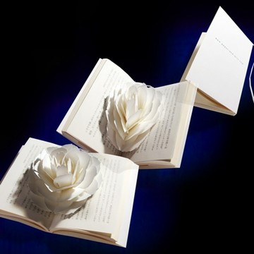 紙花書籤   彈出式紙書籤