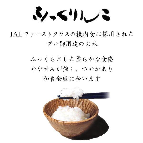 新米 米5kg お米 北海道米 ふっくりんこ 白米 5kg 令和５年産 送料無料