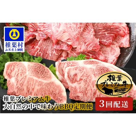 ふるさと納税 総重量1.8kg！椎葉プレミアム牛 大自然の中で味わうBBQ