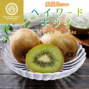 [予約 11月10日-12月31日の納品]   ヘイワードキウイ 約2kg MLサイズ 愛媛県産 他 果物専用箱 御歳暮