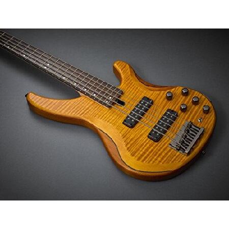 Yamaha TRBX605 5-String Flamed Maple Bass Guitar, Matte Amber