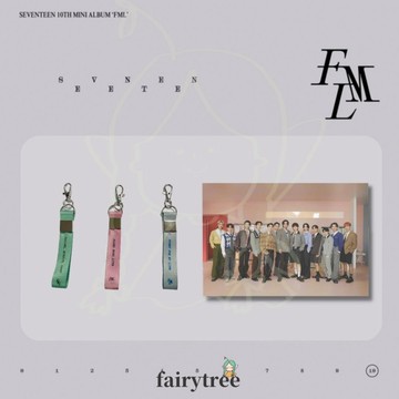 仙女樹🌟 現貨 SEVENTEEN ' FML 普通版 ' WVS通路特典 鑰匙圈 明信片