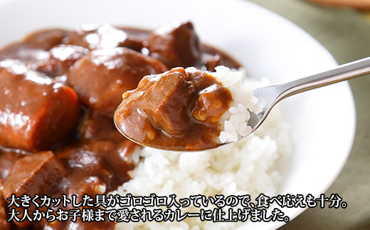 507.ビーフカレー 10個 セット 中辛 牛肉 業務用 レトルトカレー 備蓄 まとめ買い 北海道 弟子屈町