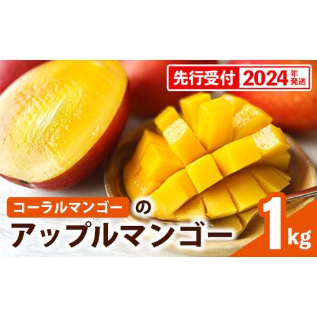 ふるさと納税 コーラルマンゴーのアップルマンゴー [優品] 約1kg 沖縄県八重瀬町