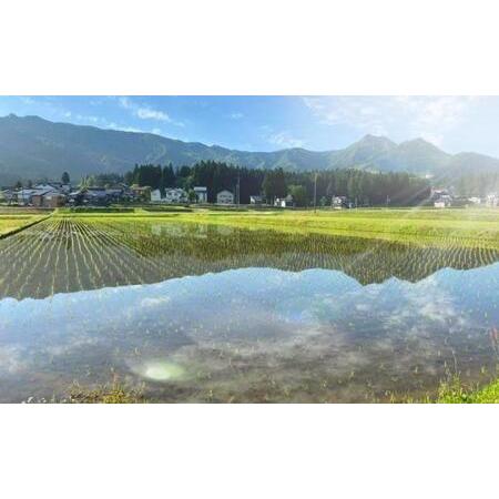 ふるさと納税 この一粒に愛をこめて玄米5kg 新潟県南魚沼市