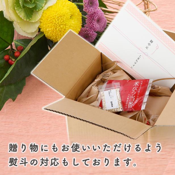 新米！令和5年産秋田県産 あきたこまち10ｋｇ 5ｋｇ×2袋 令和5年産  厳選されたおいしいお米