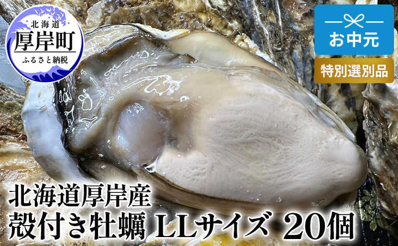 北海道 厚岸産 殻付き 牡蠣 LLサイズ 20個 お中元 特別選別品