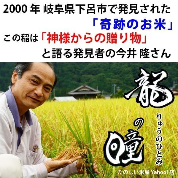 新米 龍の瞳 2kg（1kg×2袋） お得セット 岐阜県産 令和5年産米 白米 ご注文後に精米・発送 送料無料（一部地域送料加算）