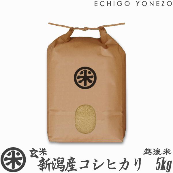 [新米 令和5年産] 玄米 新潟産コシヒカリ 5kg (5kg×1袋) 新潟米 お米 新潟県産 こしひかり 堀商店 送料無料 ギフト対応