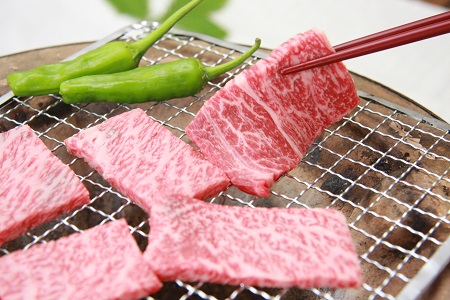 奥出雲和牛焼肉セット 肩ロース400g 赤身450g 【しまね和牛 食べ比べ BBQ 贈答用 冷蔵 チルド 日時指定Ｂ-4