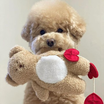 愛心藏食繩結狗狗毛絨發聲小熊玩具陪伴可愛泰迪中小型犬玩具