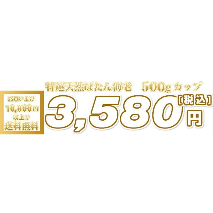 天然ぼたん海老　500g