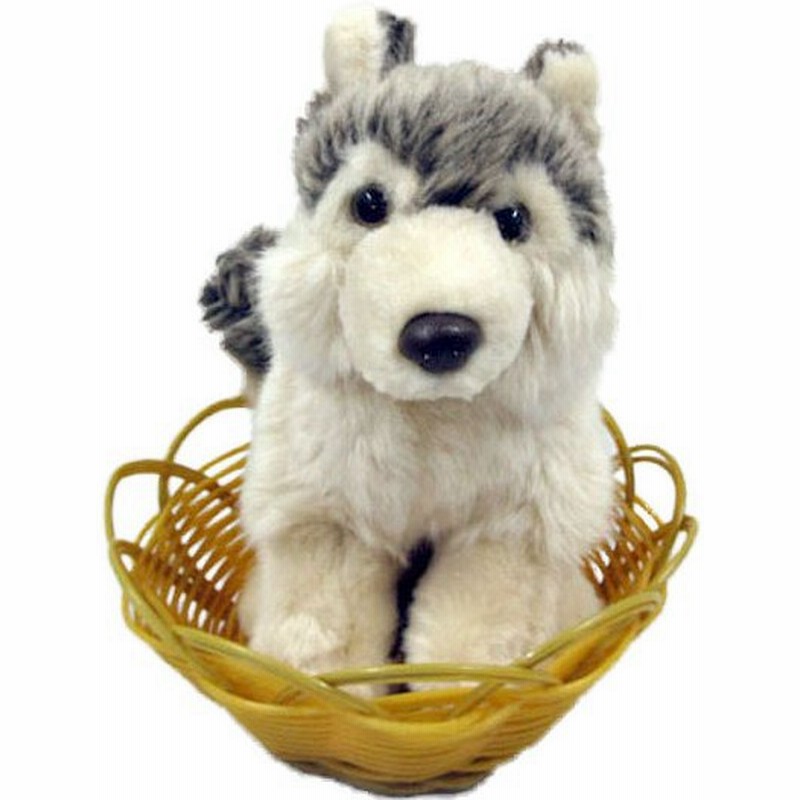 あすつく シベリアンハスキー ぬいぐるみ 座り 小 カゴ入り 犬 おもちゃ お誕生日 ギフト プレゼント 犬屋 お祝い ホワイトデー バレンタインデー 通販 Lineポイント最大0 5 Get Lineショッピング