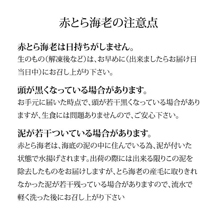 海老 食べ比べ 石川県産 お刺身用 子持ち甘えび 250g 赤がすえび 250g 合計500g 詰合せ 贈答 ギフト 産地直送 お取り寄せ 送料無料