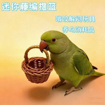 ⚡免運臺灣有貨⚡鸚鵡玩具菜籃子 益智玩具 啃咬玩具 訓練鸚鵡用品鞦韆鳥玩具套裝⚡可開票