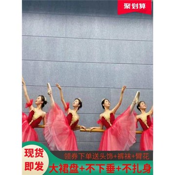 兒童芭蕾舞演出服長紗裙小天鵝舞臺服天鵝湖芭蕾舞蹈服紗裙