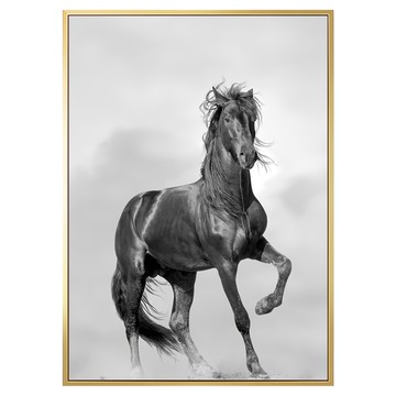 菠蘿選畫所 駿馬追風掛畫 40 x 30cm 畫框 北歐簡約風格  金色
