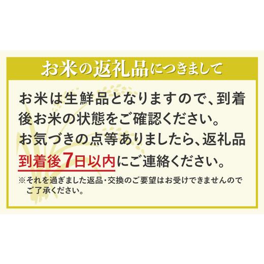 ふるさと納税 岐阜県 飛騨市 令和4年産 米 定期便 こしひかり 特別栽培米 5kg×6か月 合計30kg 若手受賞農家 池本農園 こだわりのお米 syun110