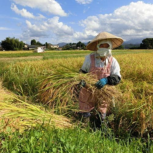 お米 新潟の銘柄米 岩船産コシヒカリ(花) 3キロ